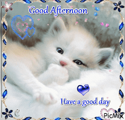 b341abf8e8da7f1d2ec70f0ed6798dcc.gif