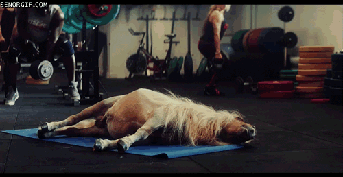 its-important-to-start-with-light-stretches