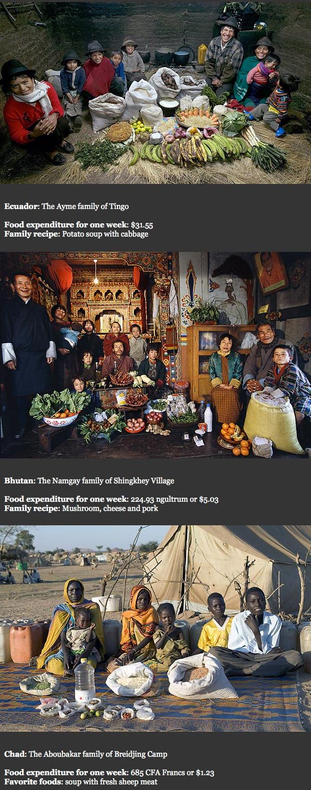 foodfamilies7.JPG
