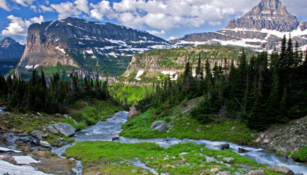 montana.jpg