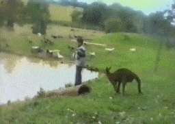 996d269b414ea55dfbf338d63dbb3732.gif