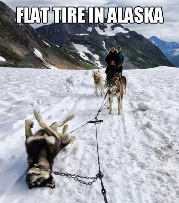 alaskan-flat-tire.jpg