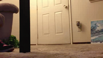bZEfCy3.gif