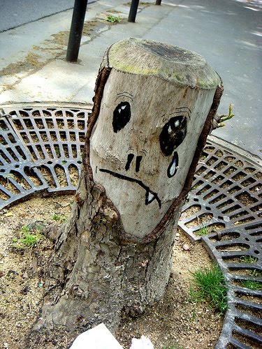 sad%2Btree.jpg