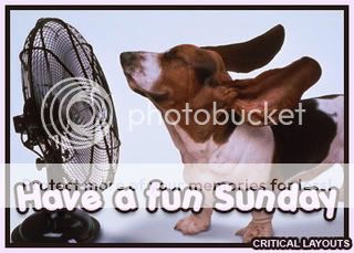 fun-sunday-dog-dc.jpg