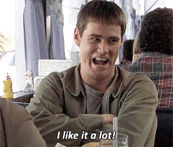 dSbbX6C.gif