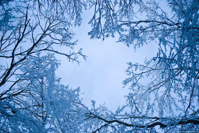 blue-snow-646x433.jpg