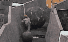 tenor.gif