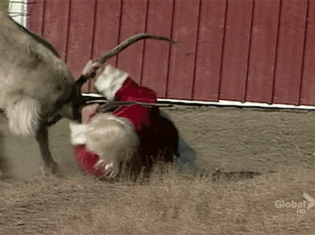 rudolph-is-tired-of-these-reindeer-games
