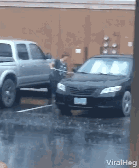 viralhog-rainy.gif