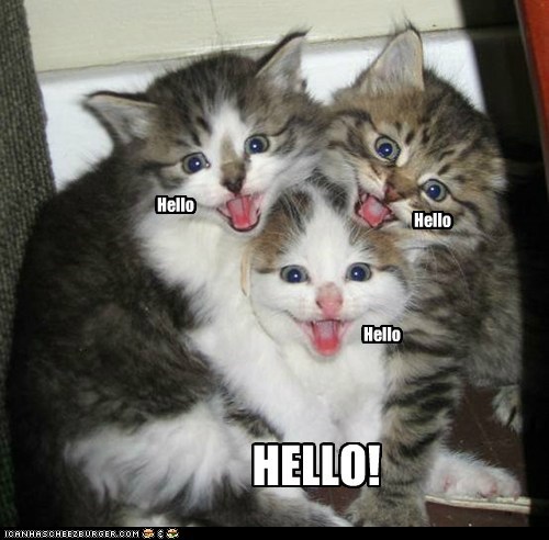hello