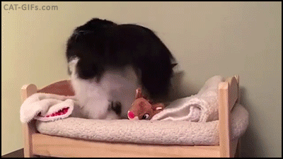 3b4cf127831ecac38e494a6f9d30d978.gif