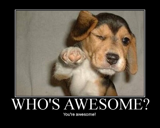 awesome2.jpg