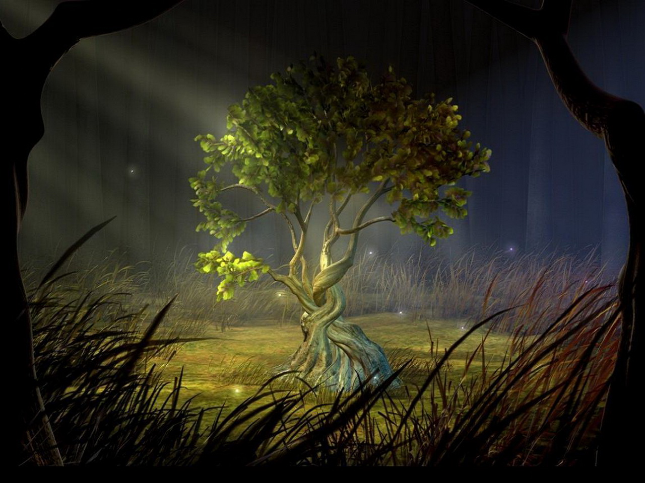 magical-tree-cool-hd.jpg