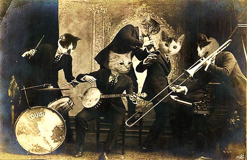 cat-band.jpg