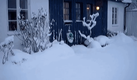 mt6nI.gif