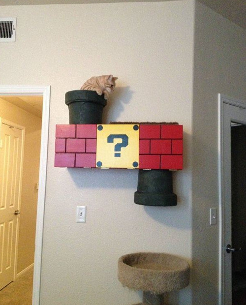 mario-cat-house.jpg