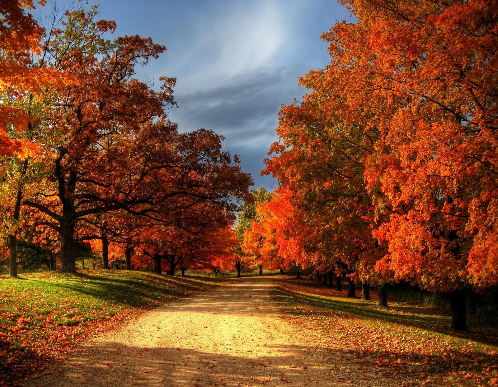 Autumn+Leaves.jpg