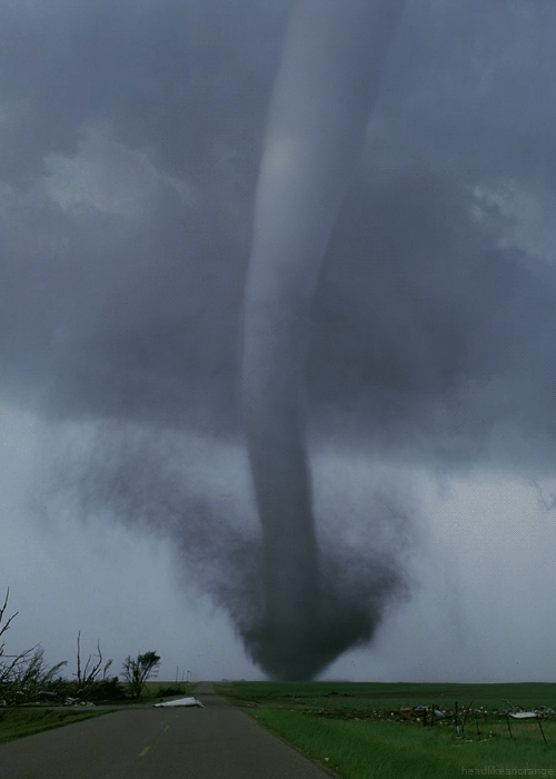nature-5.gif