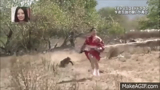 lrwWpU.gif