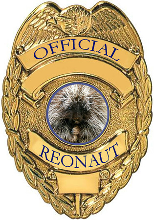 rEONAUT%20bADGE-X3.jpg