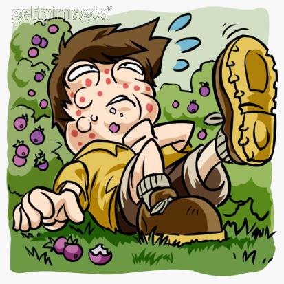 allergy.jpg