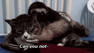 31fd5d_93fe3fb8ec0c4e6ca6797564104f766d.gif