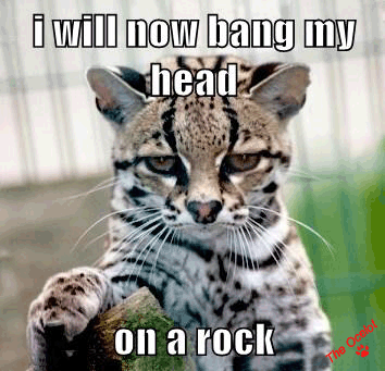 a8a.gif
