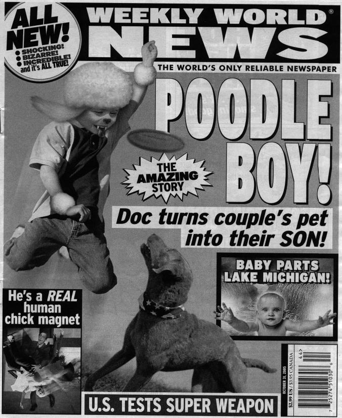 news1.jpg