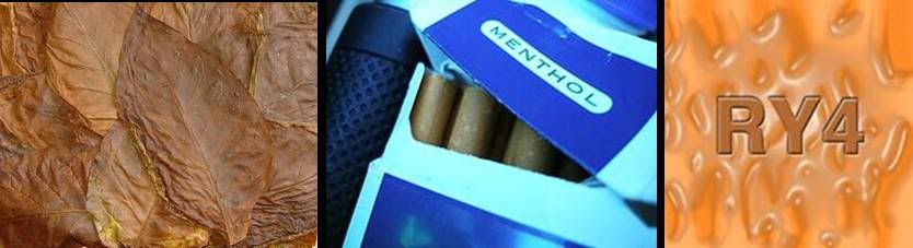 tobaccomentholRY4.jpg