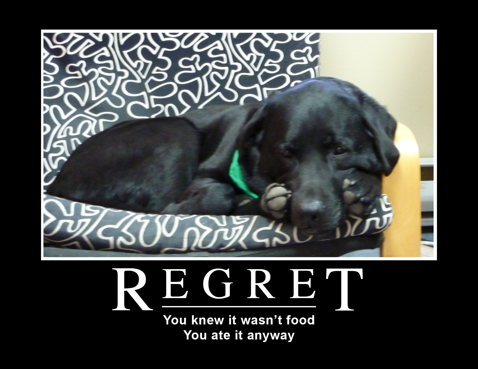 regret.jpg