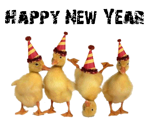 new-years-ducks.gif