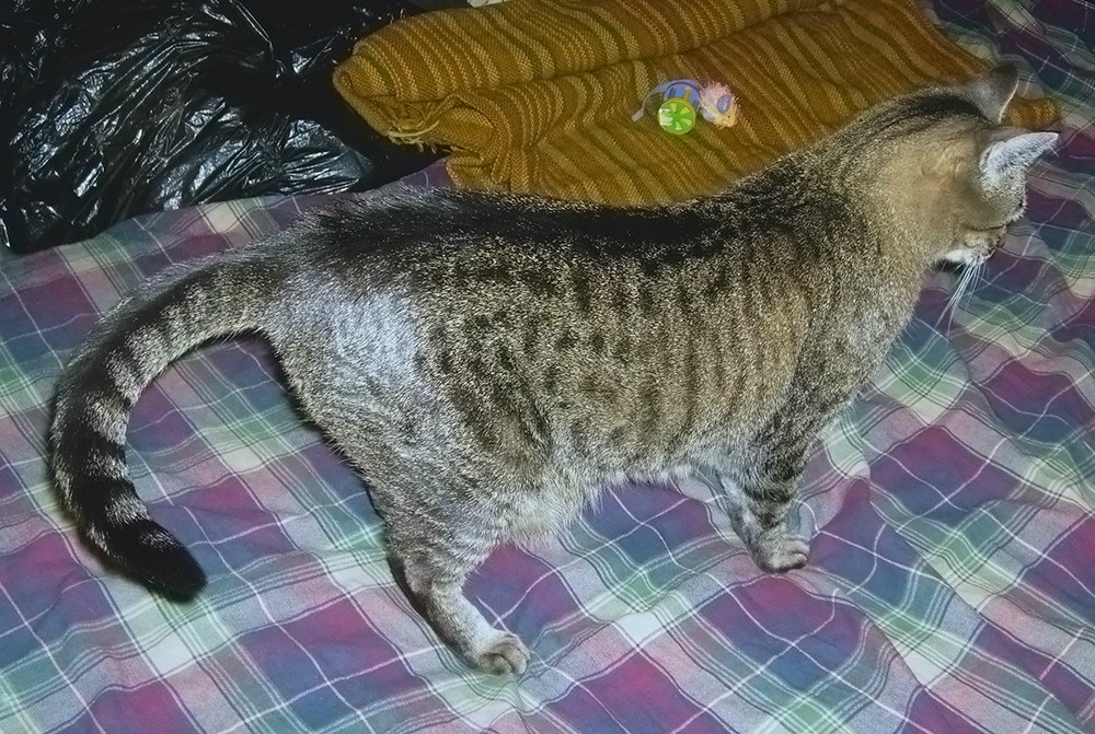 fYSri.jpg