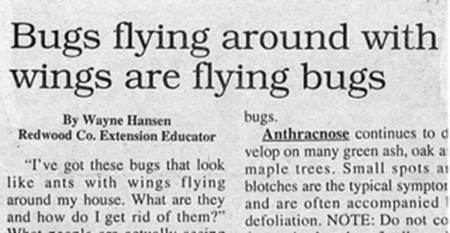 image005.jpg
