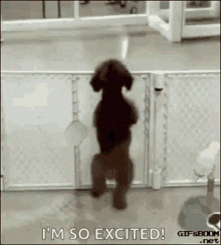 d1d223409f7749b61b1547be52bd780a.gif