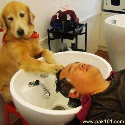 funny_caption_mnaox_Pak101(dot)com.jpg