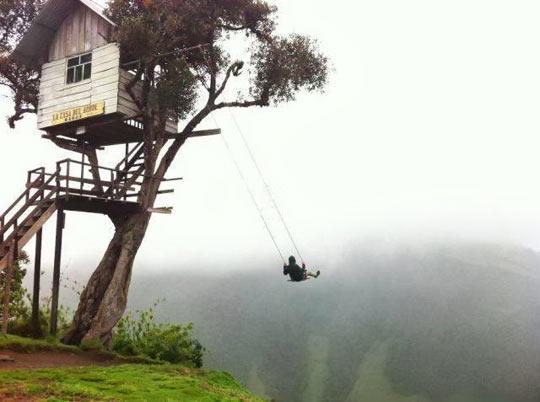 funny-tree-house-swing-scary1.jpg