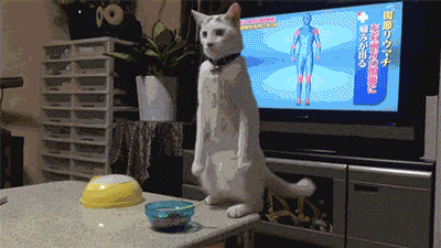 dQxumI7.gif