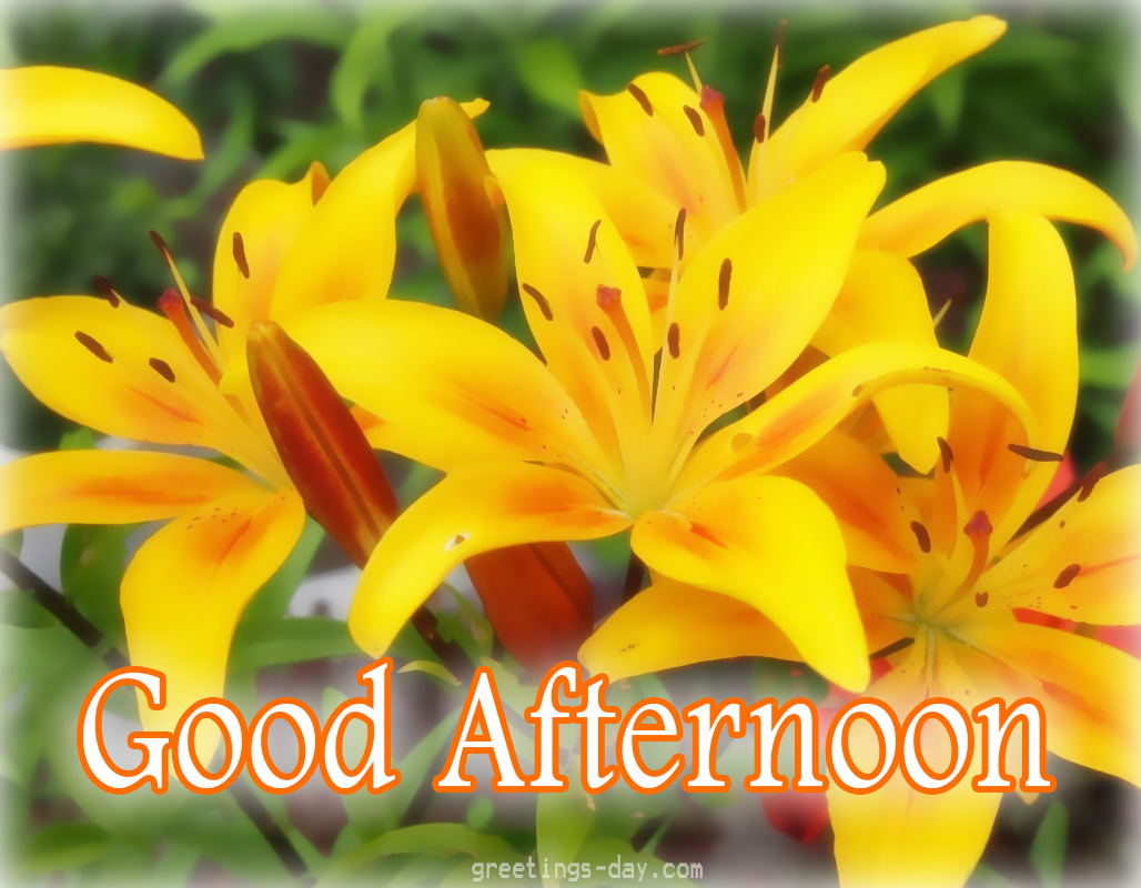 good-arternoon-flowers.jpg