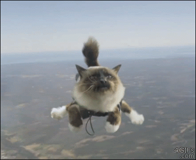 1f01e49f22767afc68d37ce127064893.gif