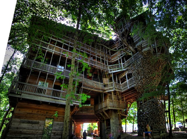 tree-1.jpg