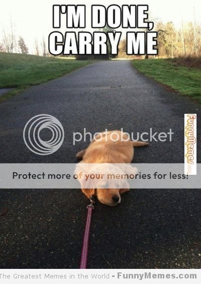 Cute-meme-Im-done-carry-me_zps7sc2w1sb.jpg