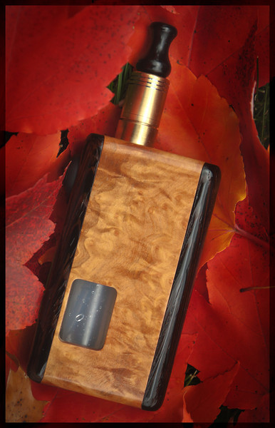 Reo%20with%20red%20leaves-L.jpg