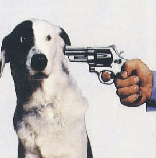 shoot-the-dog.jpg