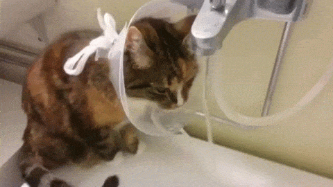 825e9be309627e0ed04c83b9cb57b93c.gif