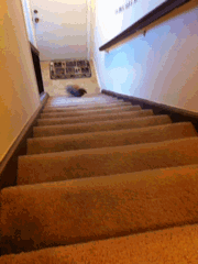 hop-hop-hop-up-the-stairs