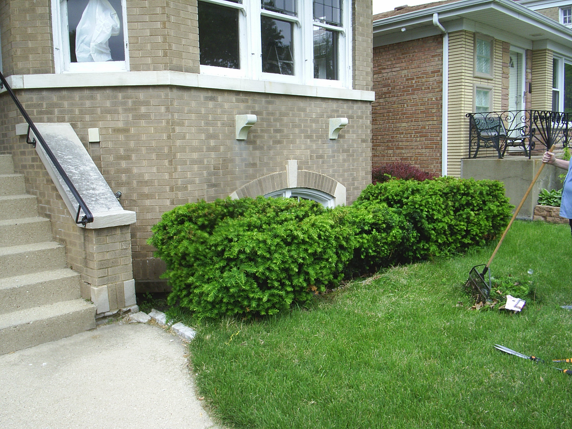 s4010062.jpg