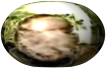 EShfn.png