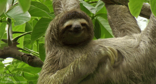 JUVU5XK.gif