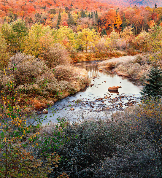 adirondack%20scene%20fall%20copy-L.jpg